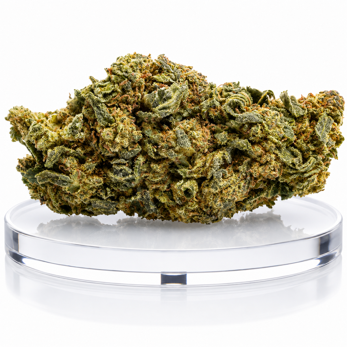 TREVOR Critical Berry Suprema CBD Premium