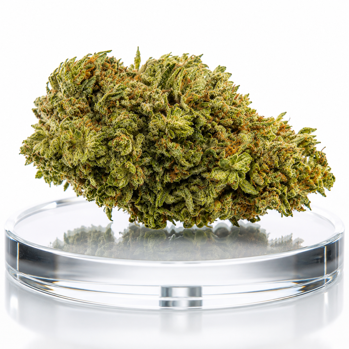 FLEEKA Zkittlez CBD Premium
