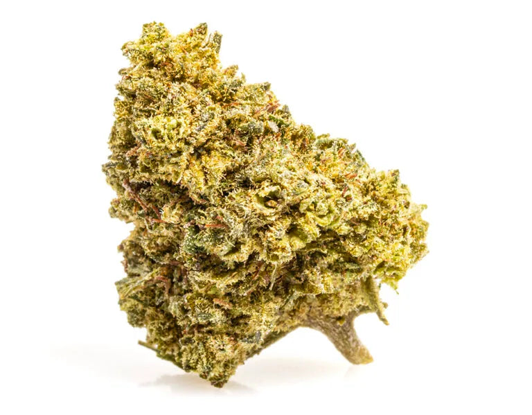 GELATO CBD BOOST