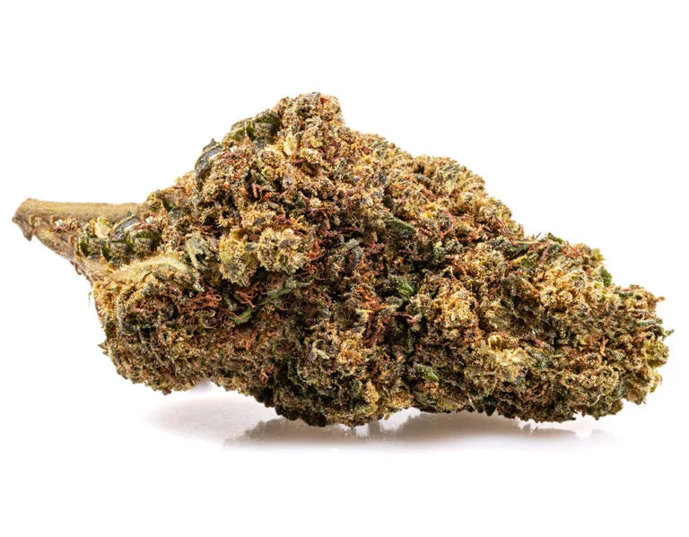 GorillaGlue